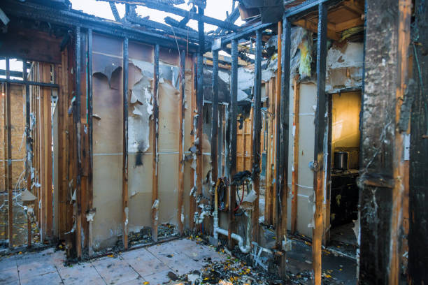 Professional Soot Removal technician working in Seminole, FL