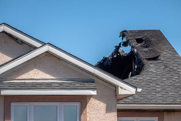 Top rated local Soot Removal specialists in Seminole, FL